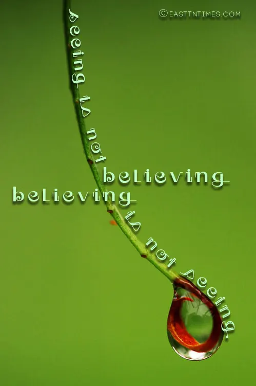 Seeing is not believing-believing is not seeing..quote of Dr Gwen Ford-I Believe Ministries