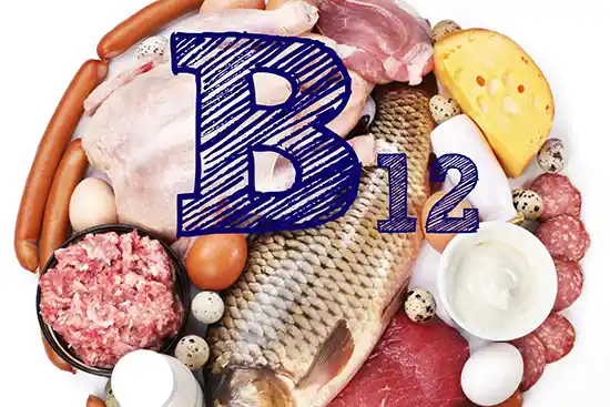 plate with Vitamin B12 sources