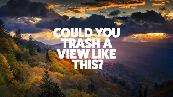 Nobody_Trashes_Tennessee