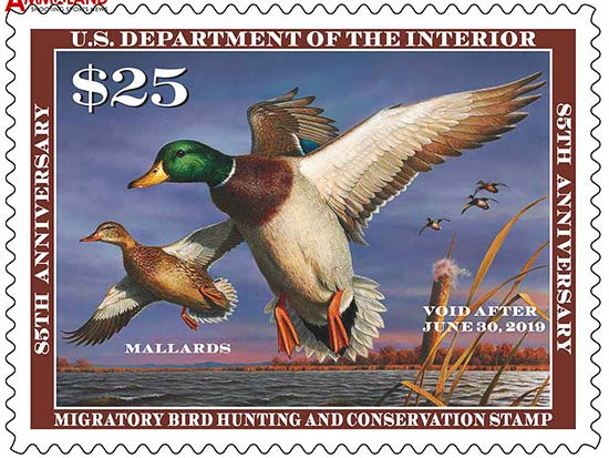 Waterfowl_Stamp