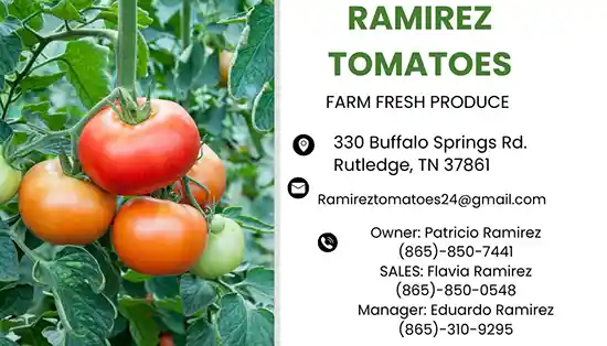 Ramirez Tomatoes, Grainger County, Tennessee 