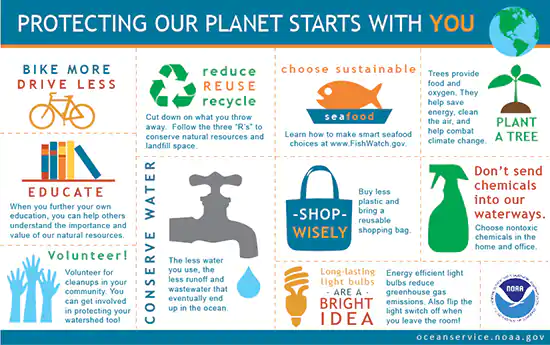 protect our planet infographic