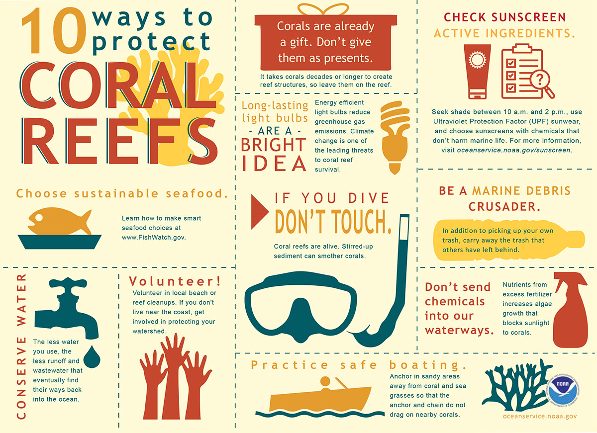 coral infographic