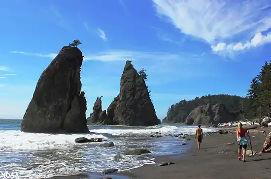 Beachgoers